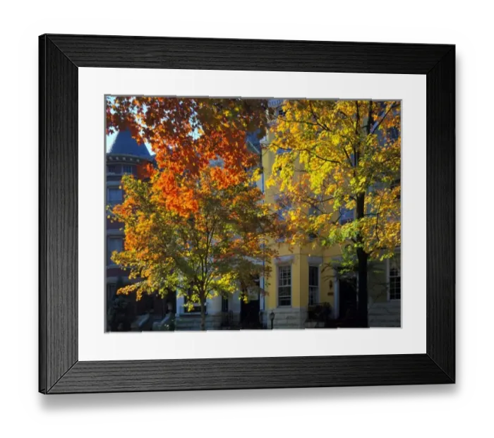 Framed Print : WASHINGTON, D. C. USA. Row houses & trees in autumn. 31st Street & Dumbarton in Georgetown Framed Print : WASHINGTON, D. C. USA. Row houses & trees in autumn. 31st Street & Dumbarton in Georgetown