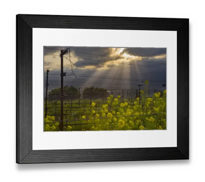Framed Print : USA, North America, California