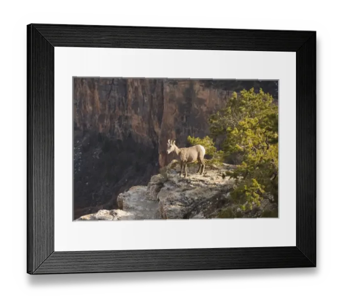 Framed Print : USA, North America, Arizona Framed Print : USA, North America, Arizona