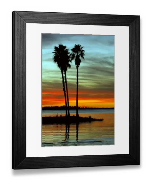 Framed Print : North America, USA, Florida, Mt. Dora, a silhouette of stately palms and a pair of Framed Print : North America, USA, Florida, Mt. Dora, a silhouette of stately palms and a pair of