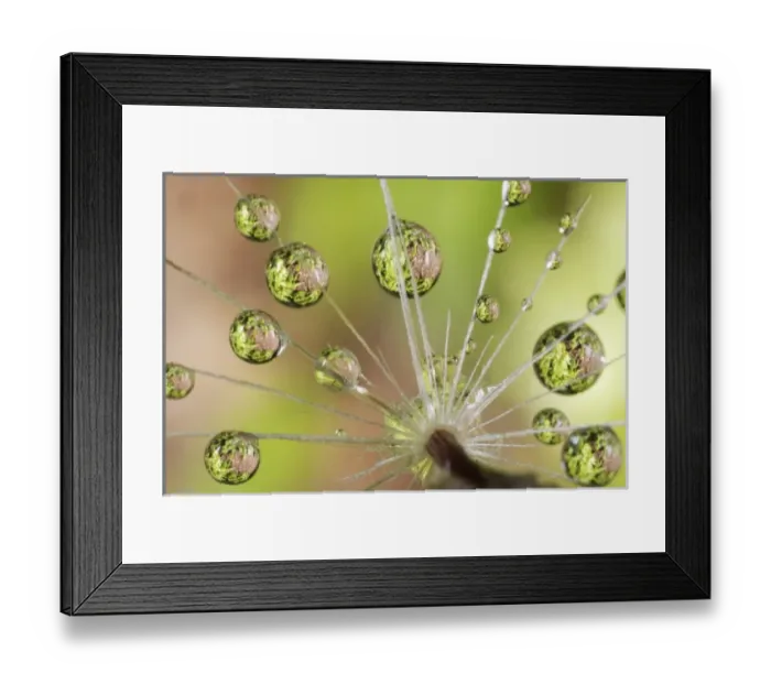 Framed Print : USA, North America, California Framed Print : USA, North America, California