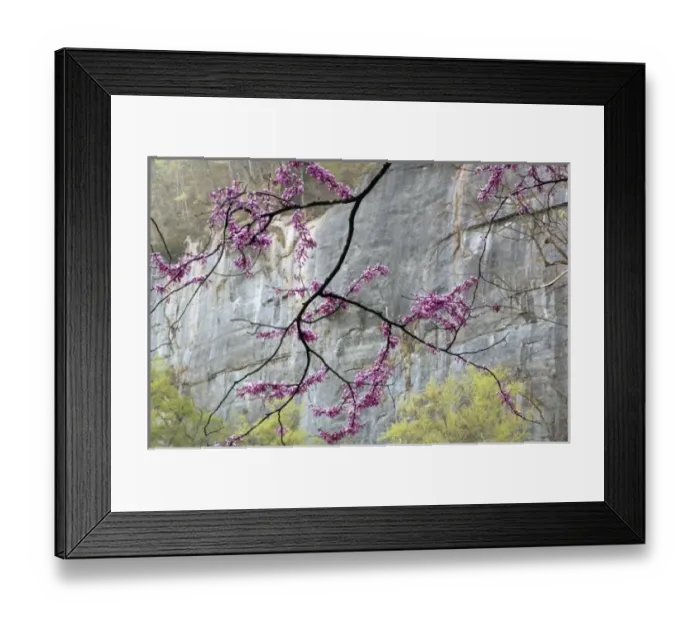 Framed Print : USA, North America, Arkansas Framed Print : USA, North America, Arkansas