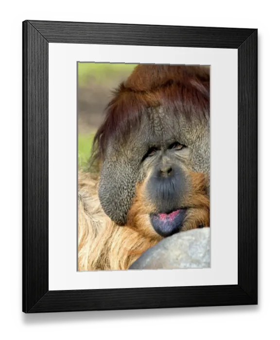 Framed Print : USA, North America, California Framed Print : USA, North America, California
