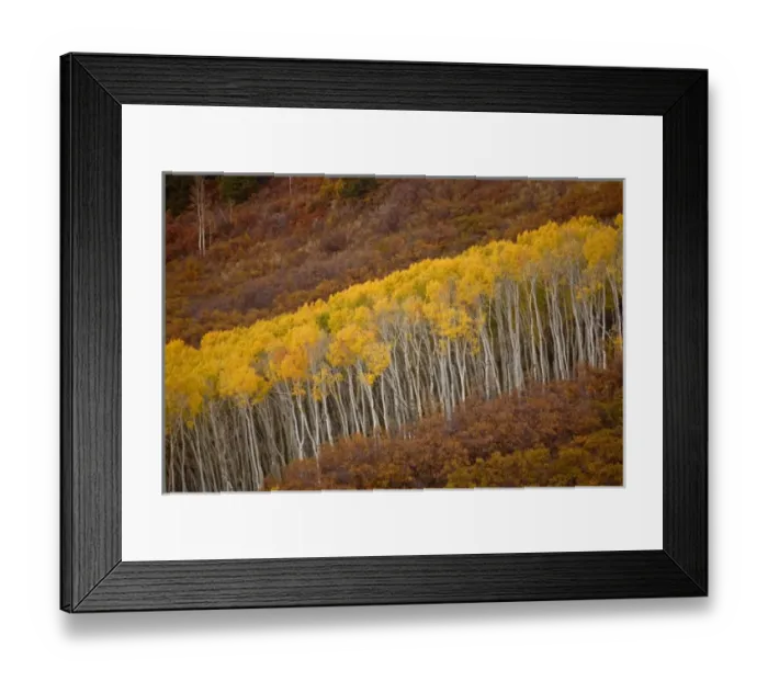 Framed Print : USA, North America, Colorado Framed Print : USA, North America, Colorado