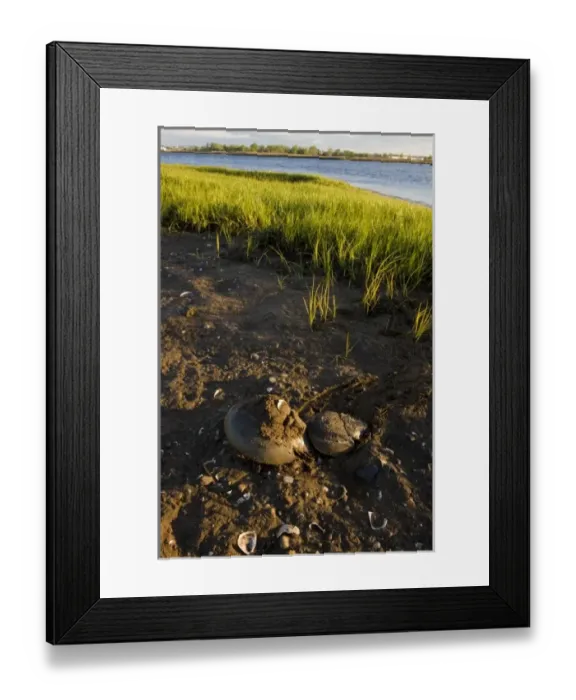 Framed Print : USA, North America, Connecticut Framed Print : USA, North America, Connecticut