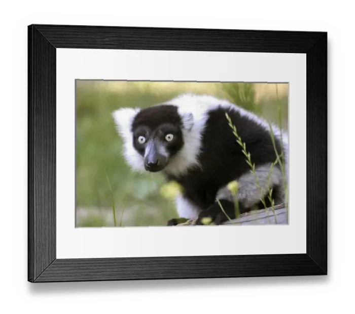 Framed Print : USA, North America, California