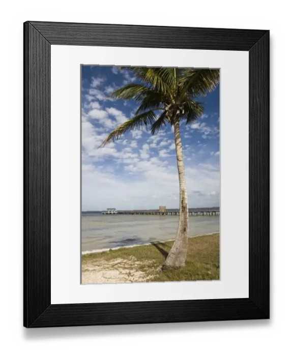 Framed Print : USA-Florida-Pine Island (Bokeelia) Framed Print : USA-Florida-Pine Island (Bokeelia)