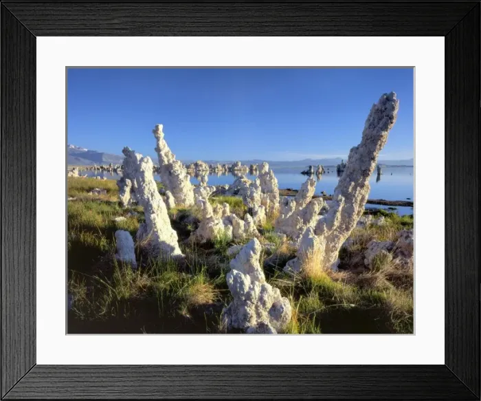 Framed Print : Mono Lake Reserve, California. USA. Tilting tufa columns & vegetation at seep along
