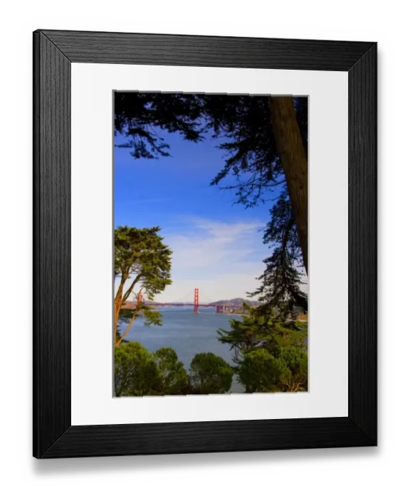 Framed Print : San Francisco Golden Gate Bridge framed by trees taken from Lincoln Park Framed Print : San Francisco Golden Gate Bridge framed by trees taken from Lincoln Park