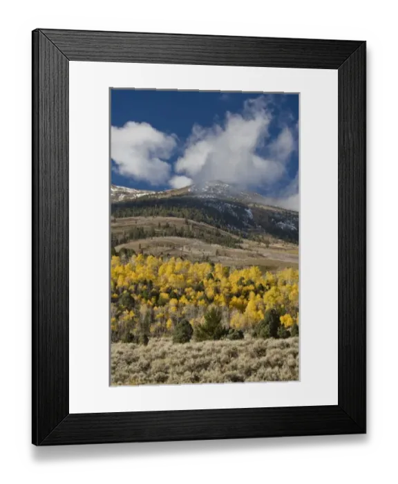 Framed Print : USA, North America, California Framed Print : USA, North America, California