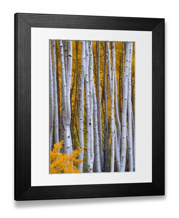 Framed Print : USA, North America, Colorado Framed Print : USA, North America, Colorado