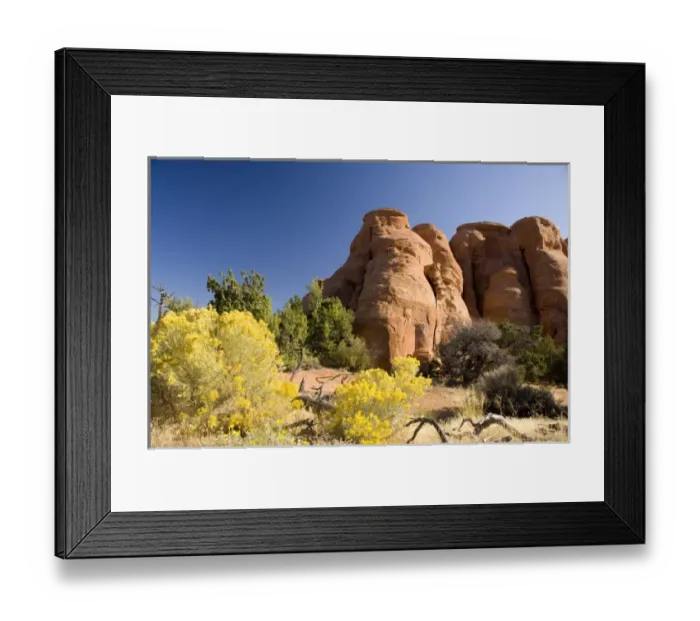 Framed Print : Colorado, Grand Junction, Colorado National Monument. Rim Rock Drive views, typical