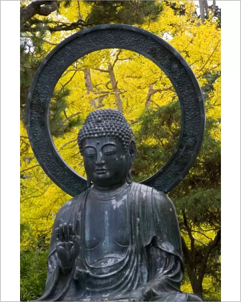 Budda Statue in the Japanese Gardens Golden Gate Park, San Francisco California