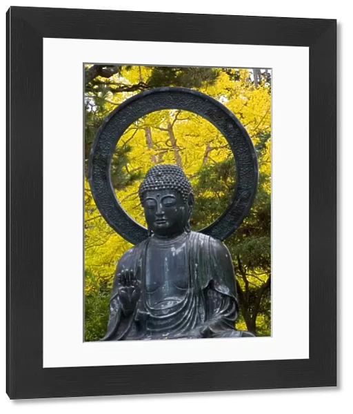 Budda Statue in the Japanese Gardens Golden Gate Park, San Francisco California