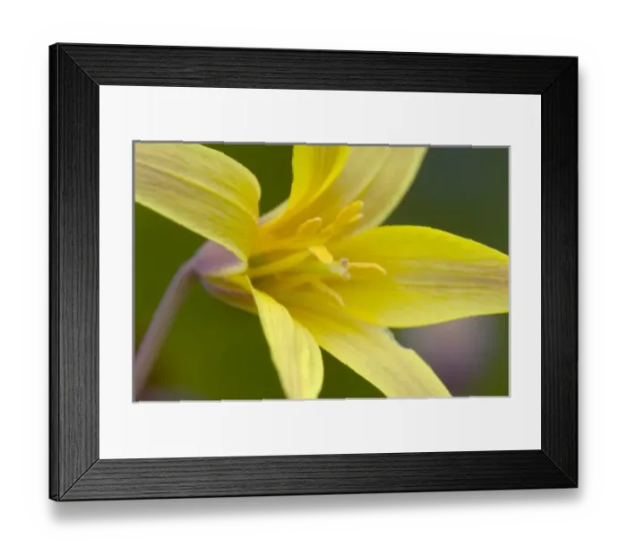 Framed Print : USA, North America, Arkansas