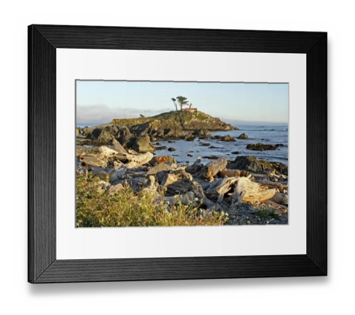 Framed Print : USA, North America, California Framed Print : USA, North America, California