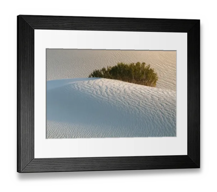 Framed Print : Sand Dunes, Death Valley National Park, California, USA Framed Print : Sand Dunes, Death Valley National Park, California, USA