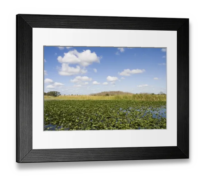 Framed Print : USA, Florida, Big Cypress Seminole Reservation: Everglades View Framed Print : USA, Florida, Big Cypress Seminole Reservation: Everglades View
