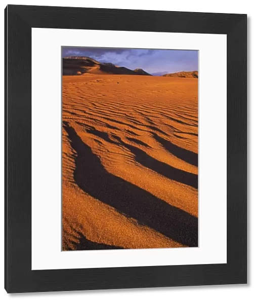 USA, Colorado, Great Sand Dunes National Monument. Ripples in sandy landscape