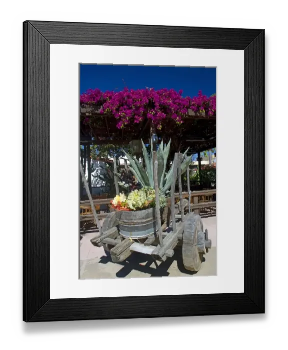 Framed Print : USA, North America, California