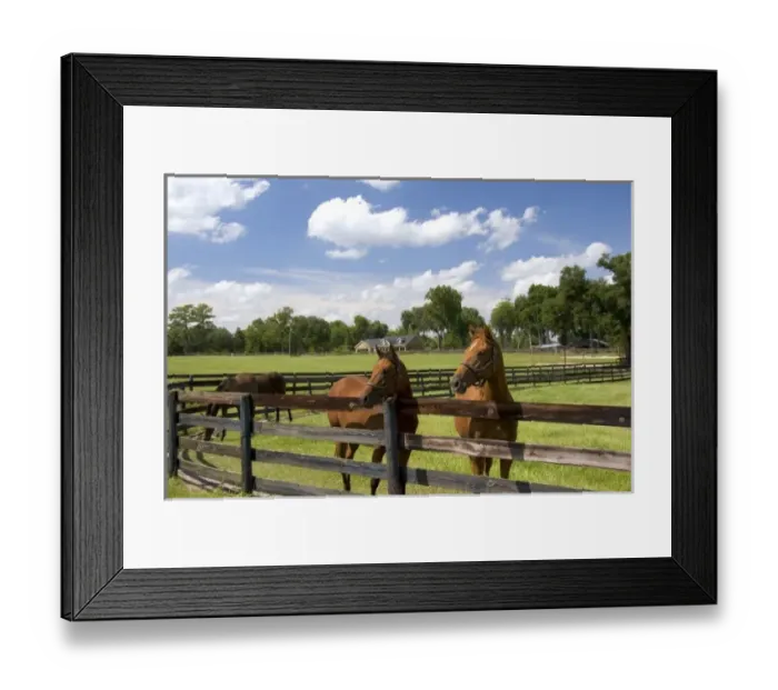 Framed Print : USA, North America, Florida Framed Print : USA, North America, Florida