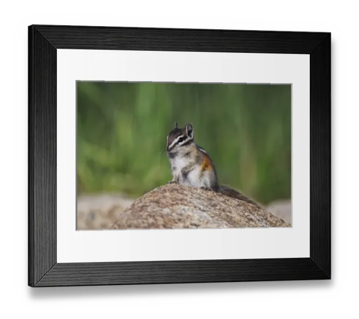 Framed Print : USA, North America, Colorado Framed Print : USA, North America, Colorado
