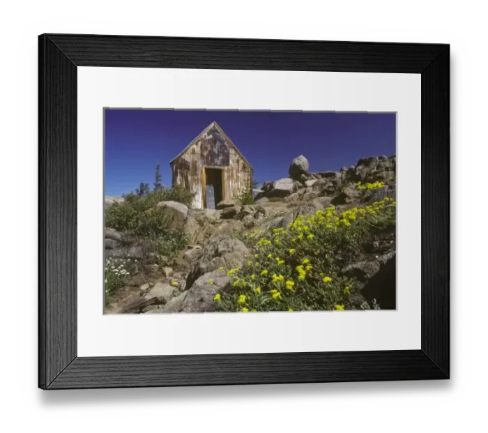 Framed Print : Old tin miners cabin in the Sierra Nevada Mountains, California, USA