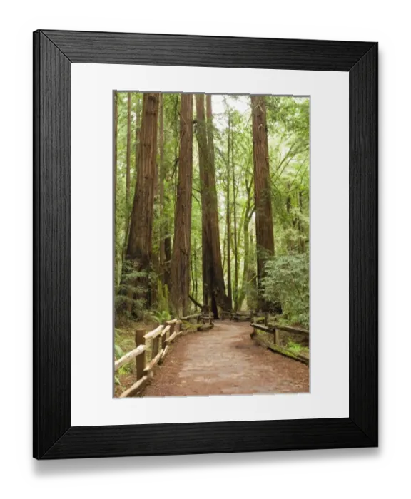 Framed Print : USA, North America, California