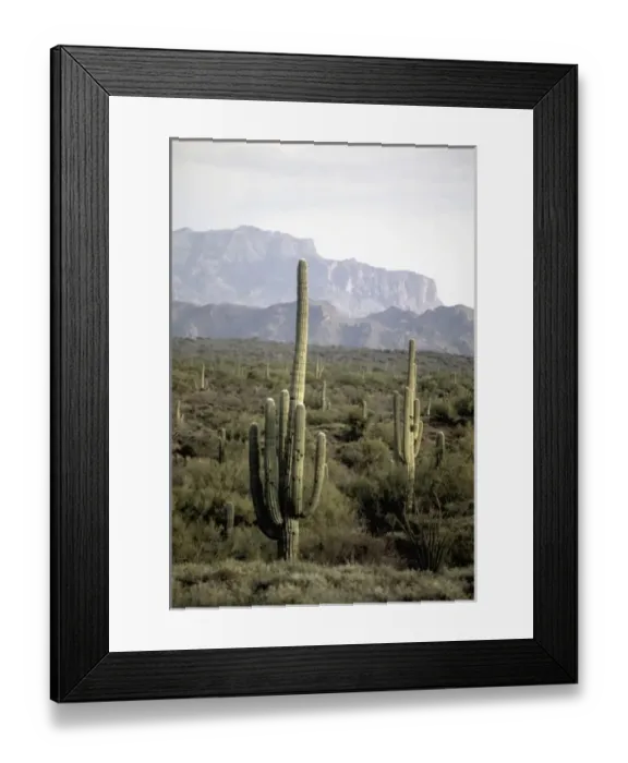 Framed Print : USA, North America, Arizona