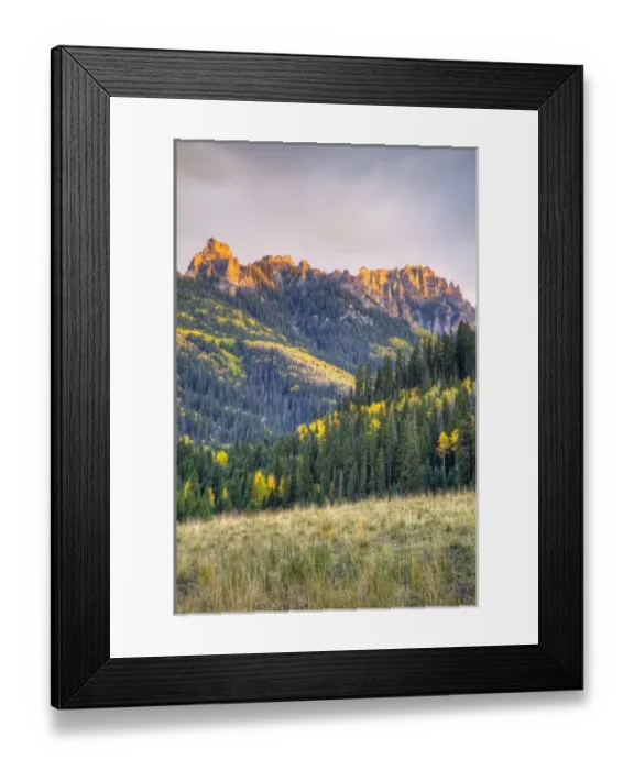 Framed Print : USA, Colorado, Uncompahgre National Forest, along forest road 858 near Owl Creek Pass Framed Print : USA, Colorado, Uncompahgre National Forest, along forest road 858 near Owl Creek Pass