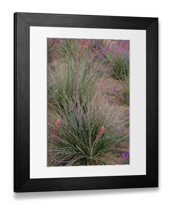 Framed Print : USA, North America, Arizona Framed Print : USA, North America, Arizona