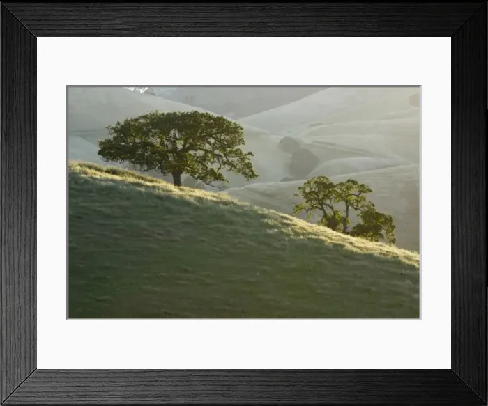 Framed Print : Mt. Diablo State Park, California Framed Print : Mt. Diablo State Park, California