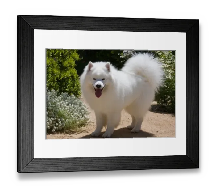 Framed Print : USA, North America, California Framed Print : USA, North America, California