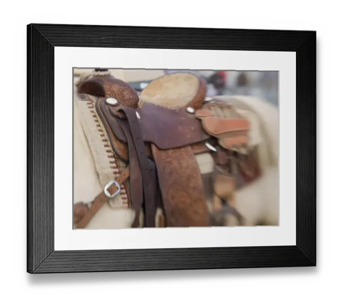 Framed Print : Tucson, Arizona: Ropes and equipment of rodeo competitor at the Tucson Rodeo Framed Print : Tucson, Arizona: Ropes and equipment of rodeo competitor at the Tucson Rodeo