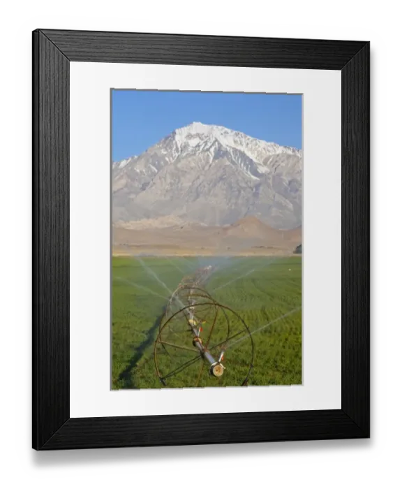 Framed Print : Irrigation sprinkler in agricultural fields in Bishop California