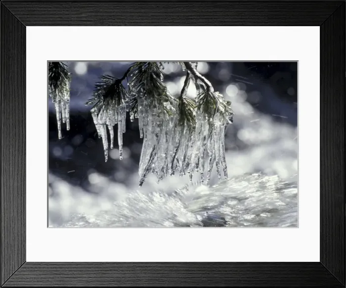 Framed Print : USA, California, Lake Tahoe. Icicles over Eagle Creek at sunrise Framed Print : USA, California, Lake Tahoe. Icicles over Eagle Creek at sunrise