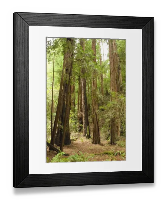 Framed Print : USA, North America, California Framed Print : USA, North America, California