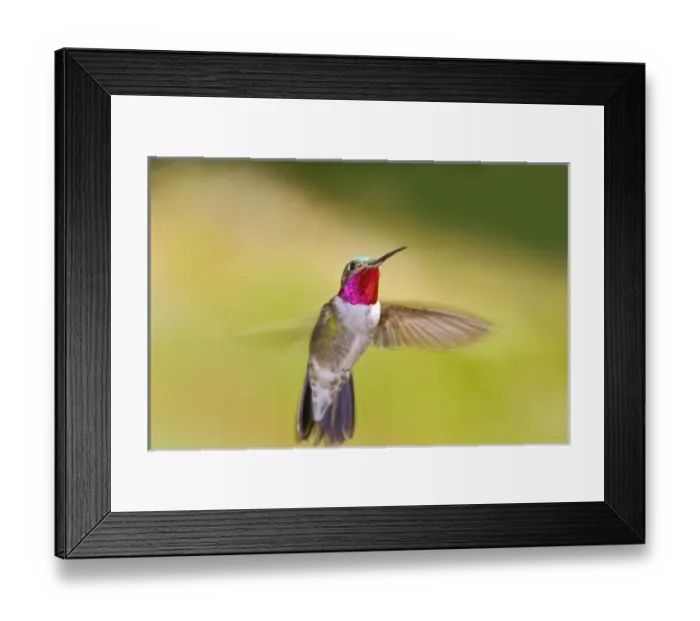 Framed Print : USA, North America, Colorado Framed Print : USA, North America, Colorado