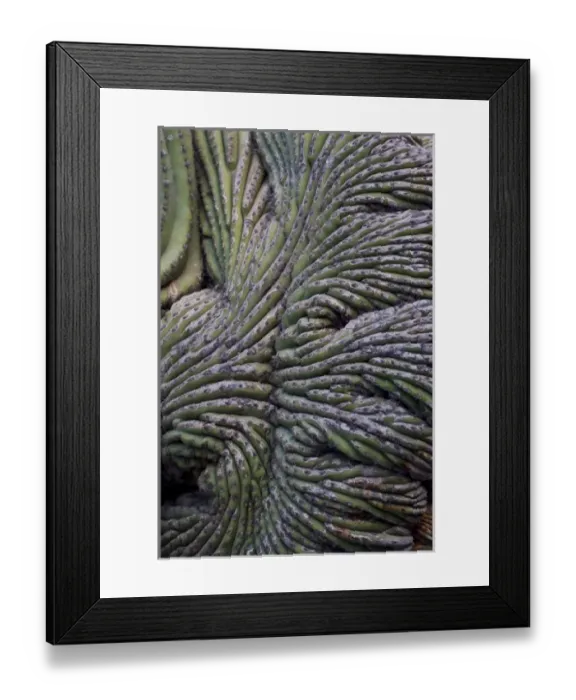 Framed Print : USA, North America, Arizona Framed Print : USA, North America, Arizona