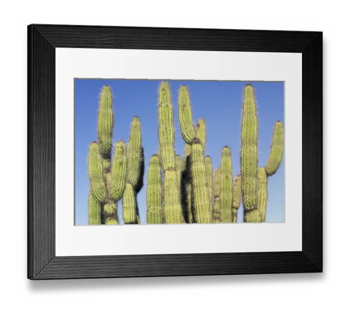 Framed Print : USA, North America, Arizona Framed Print : USA, North America, Arizona