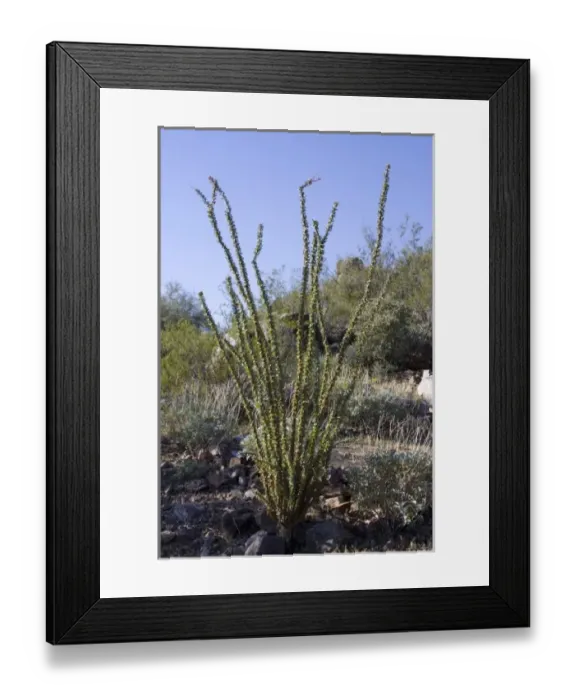 Framed Print : USA, North America, Arizona Framed Print : USA, North America, Arizona