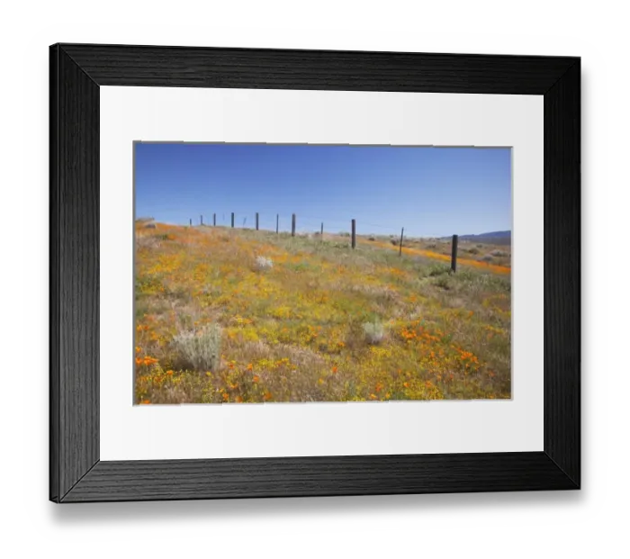 Framed Print : USA, North America, California Framed Print : USA, North America, California