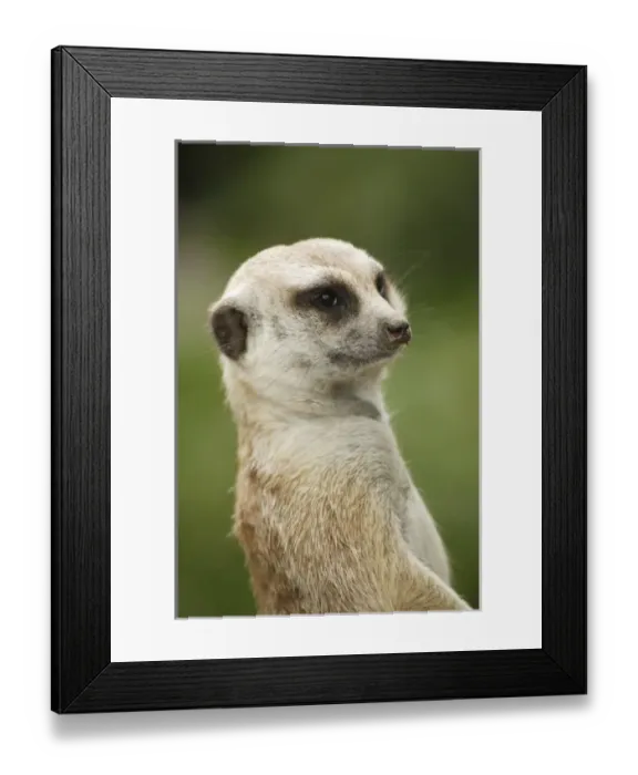 Framed Print : USA, North America, California Framed Print : USA, North America, California