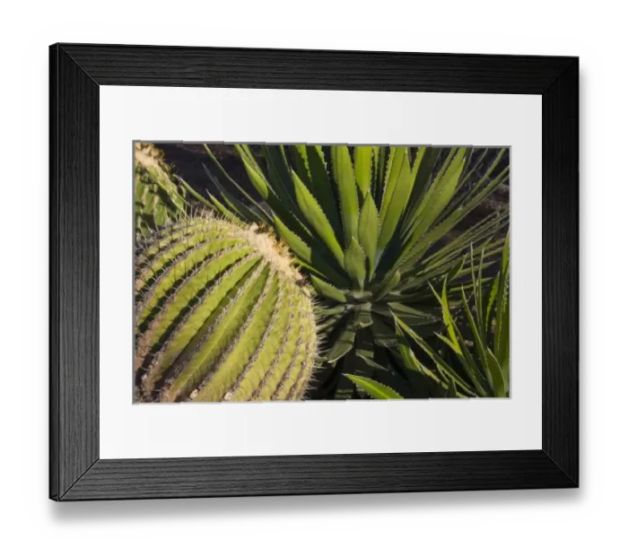 Framed Print : USA, North America, Arizona Framed Print : USA, North America, Arizona