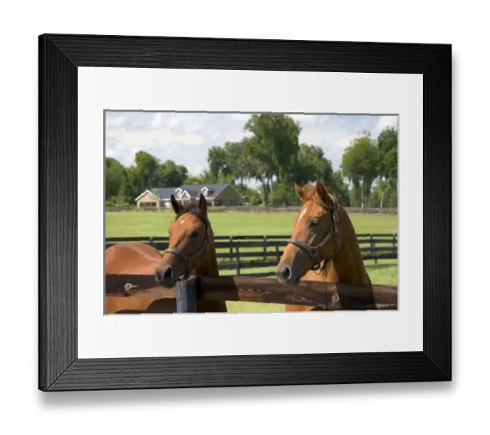 Framed Print : USA, North America, Florida Framed Print : USA, North America, Florida