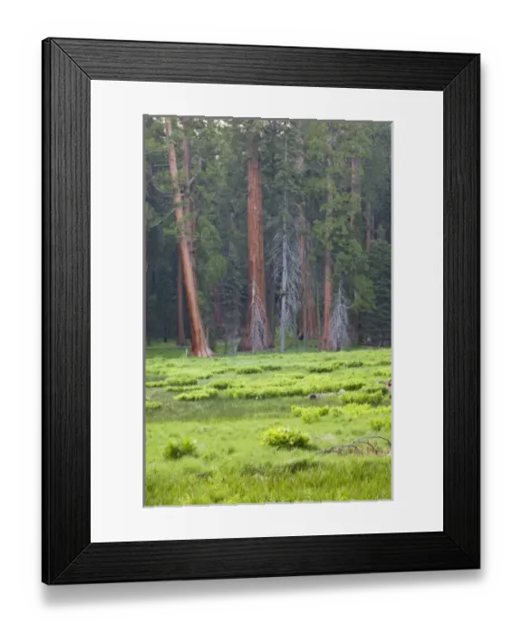 Framed Print : USA, North America, California Framed Print : USA, North America, California
