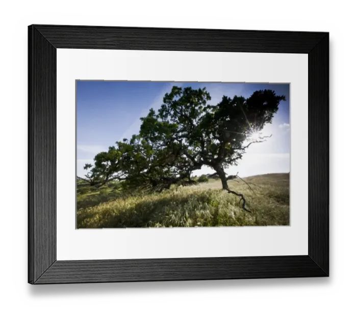 Framed Print : USA, North America, California Framed Print : USA, North America, California