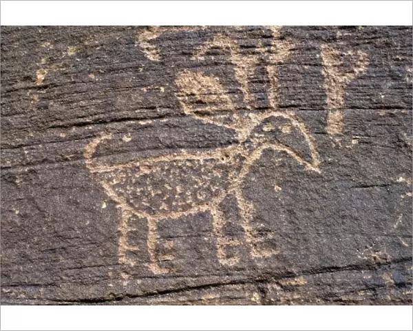 USA, Arizona, Canyon de Chelly. Close-up of a native American rock drawing in Canyon