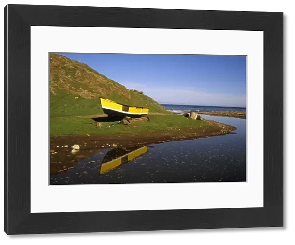 California: Channel Islands, Santa Cruz Island, Scorpion Valley, abandoned yellow boat on shore
