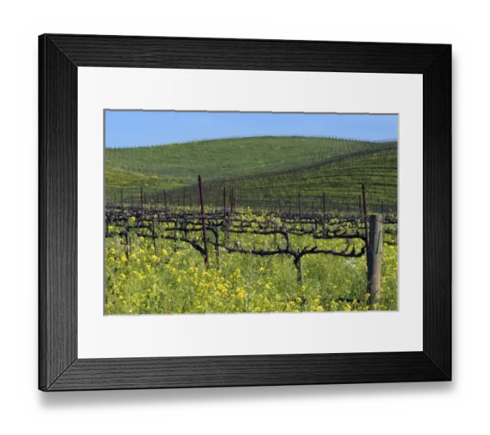 Framed Print : USA, North America, California Framed Print : USA, North America, California